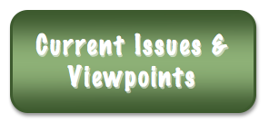 Header: Current Issues & Viewpoints